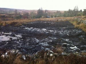 The site at Cashelard which Gardai dug up in the search for missing Mary Boyle