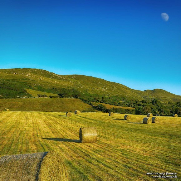 Saving the hay in Luddan: Pic by the brilliant Adam Rory Porter