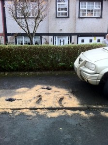 The ground on which the device exploded beneath Alan's jeep is still scorched. Pic copyright Donegal Daily.