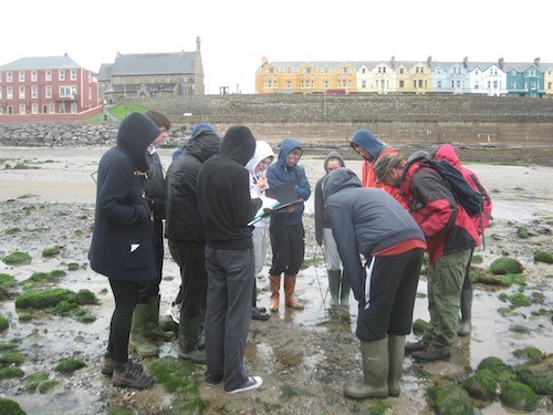 Magh Éne College transition-year students with ecologist Billy Flynn (far right), surveying the flora and fauna of the Bundoran seashore.