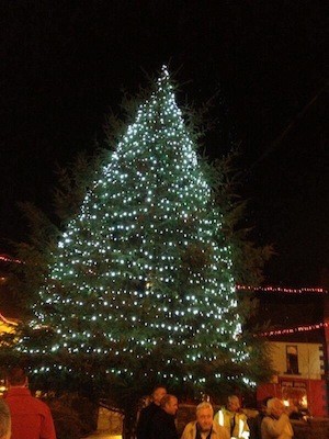 The new Christmas tree stands proudly in the Diamond in Carndonagh