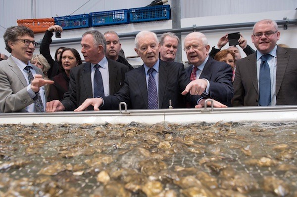 Ostre’an Teoranta, an oyster farm owned by two French brothers Michel and Thierry Hélie,  officially opened a new €0.6 million production and grading facility on its site in An Mhachaire, An Clochán Liath  from left are Thierry Hélie, Terence Slowey, Minister of State, Dinny Mc Ginley TD, The Department of Arts, Heritage and the Gaeltacht, Pat teh Cope Gallagher, MEP, and Sean Curaan.  Photo Clive Wasson