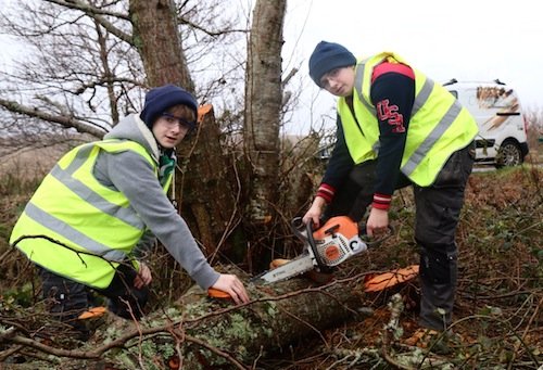 Ronan and Conor cutting up some of the fallen tree.