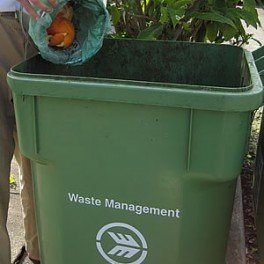 green_compost_bin
