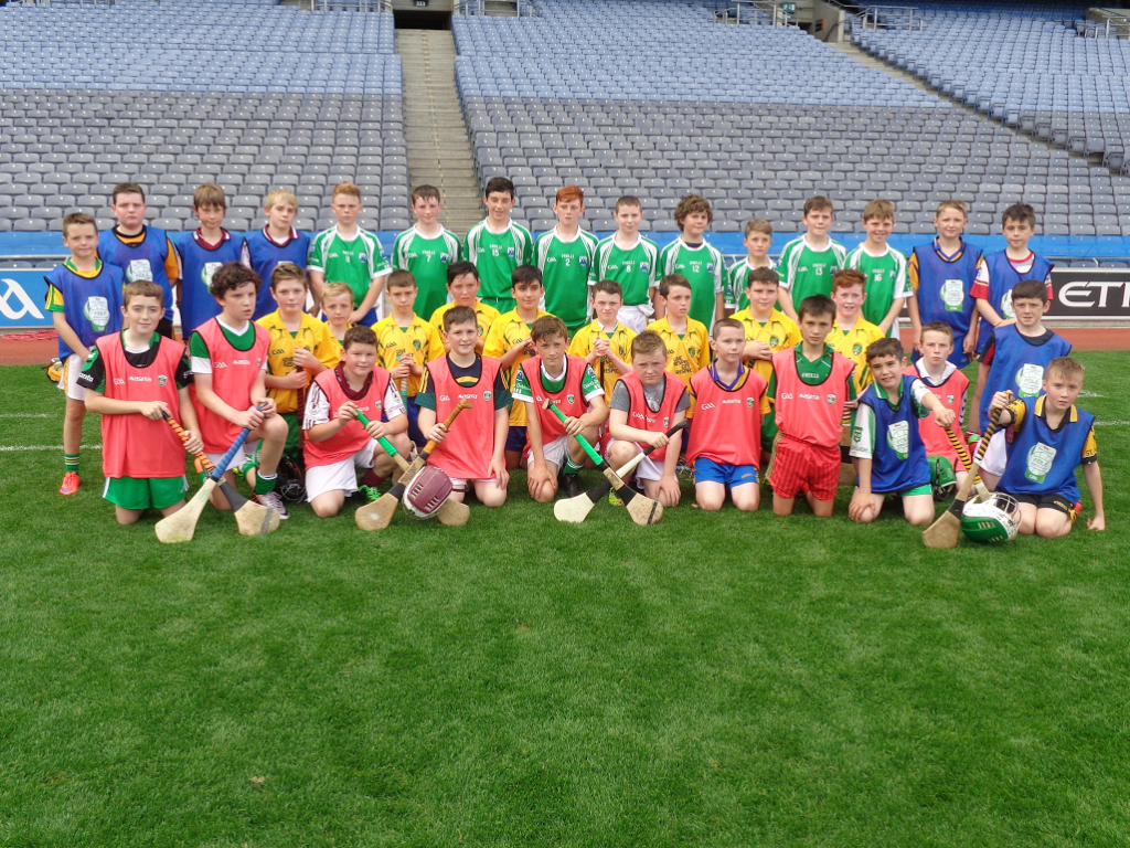 The young Donegal hurlers.