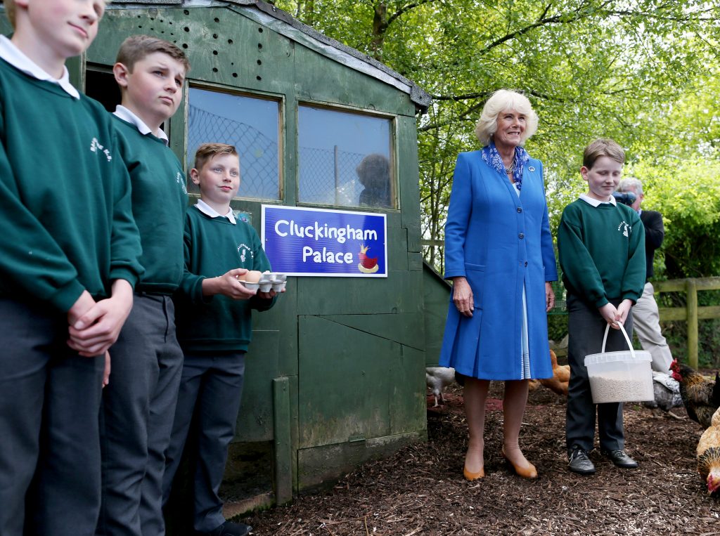25/05/2016 NO REPRO FEE, MAXWELLS DUBLIN, IRELAND Visit to Ireland by The Prince of Wales and the Duchess of Cornwall. Donegal, Ireland. Pic shows the Duchess of Cornwall meeting pupils of Ballyraine National School. PIC: NO FEE, MAXWELLPHOTOGRAPHY.IE