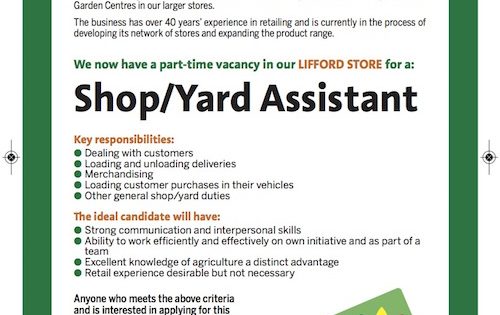store assistant responsibilities