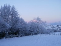 Chills of Donegal