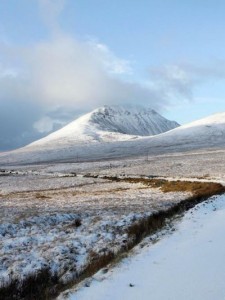 Commonages around Errigal may be boycotted by Donegal farmers.