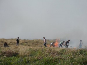 heroes fight the gorse fires