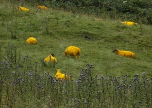 Paiting sheep doesn't have to be ba-baric!