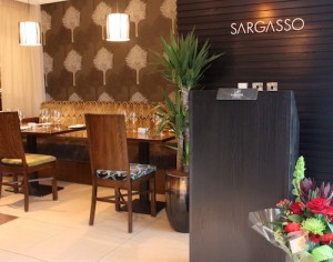 Sargasso1