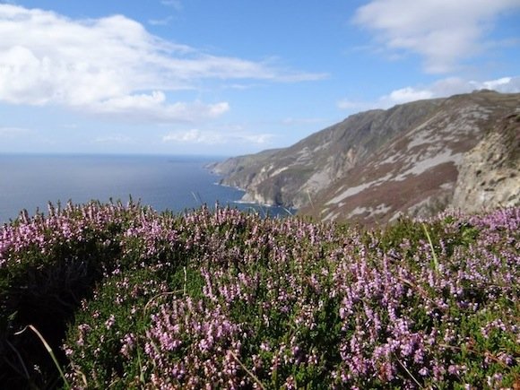 SLIEVE LEAGUE TODAY