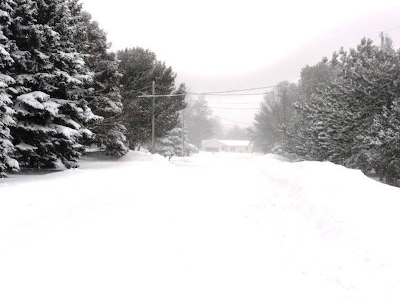 Snow has wiped out everything near Termon man Tony Friel's neighbourhood