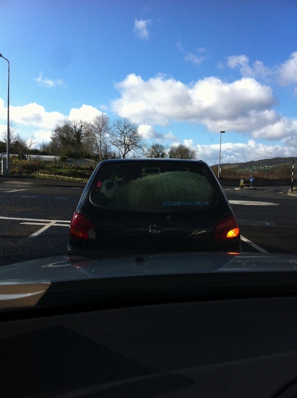 SHEEP IN BACK OF CO DONEGAL CAR