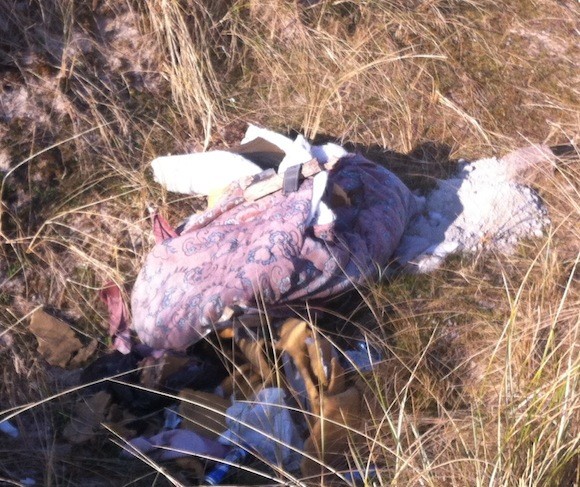 Some of the rubbish at the beautiful beach