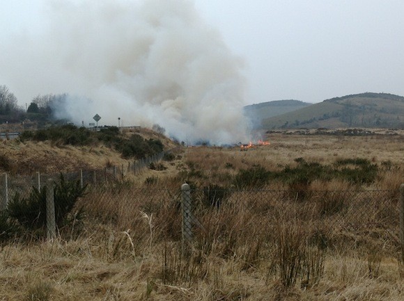 gorse fire termon