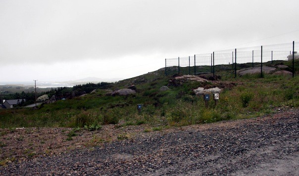 Photo shows the yard at Leffin, Co Donegal where the baby killer whale was located, some 3kms from the sea (in the background).