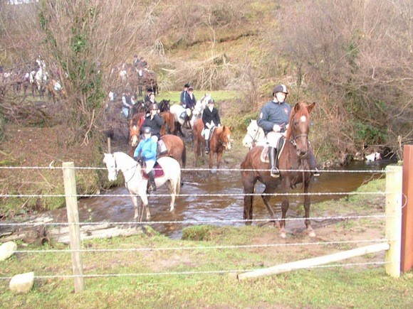 The Donegal & Tyrone hunt cool their legs in the river