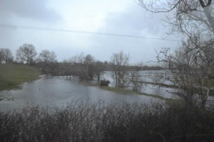 Flooded Field Malin
