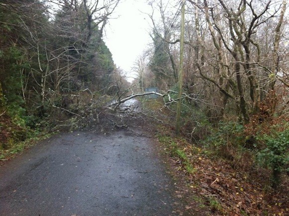 The road to the Gartan OUtdoor Centre was blocked by this fallen tree.