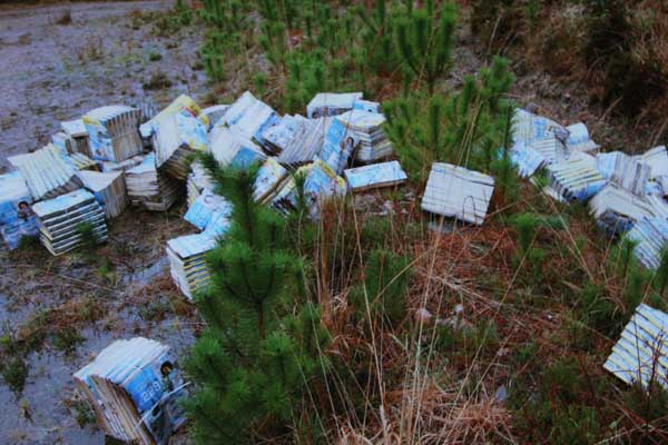 Some of the hundreds of phonebooks which were dumped at scenic Barnesmore Gap, in the Ballybofey to Donegal road.  (NewspixIrl)