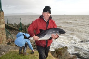 Mr Craig with the porpoise. Pic Trish Murphy