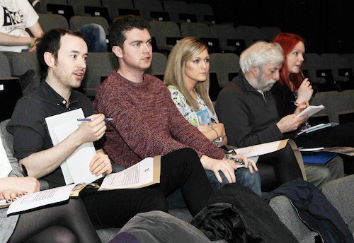 Judges Paddy McKenna, 2fm, Cian McCarthy, RnaG, Nadine Maloney, TV3, Jackie Hayden and Barbara Nic Dhonnacha, TG4.