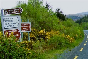 One of the "absolute glut" of road signs in Donegal.