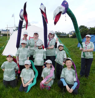 7th Donegal (Killybegs) Beaver Scouts who were Snakes for the weekend.  ((c) North West Newspix)