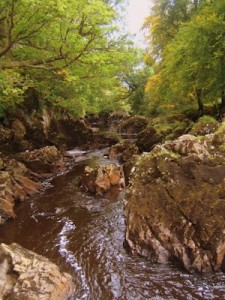 The well-knwon Salmon Leap at Cloghan where the young man has gone missing.