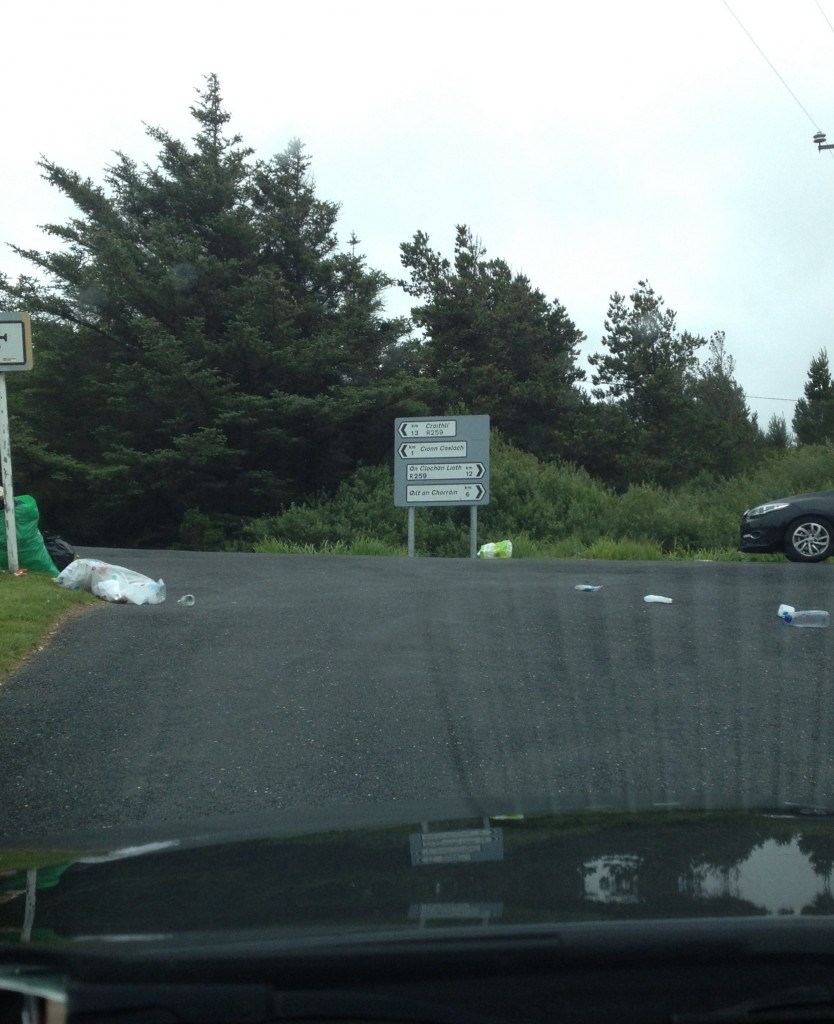 Some of the rubbish dumped in Kincasslagh today