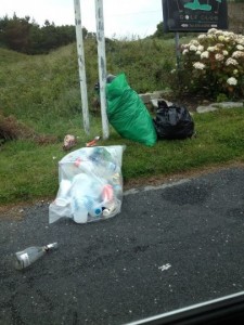 Some of the rubbish dumped in Kincasslagh today.