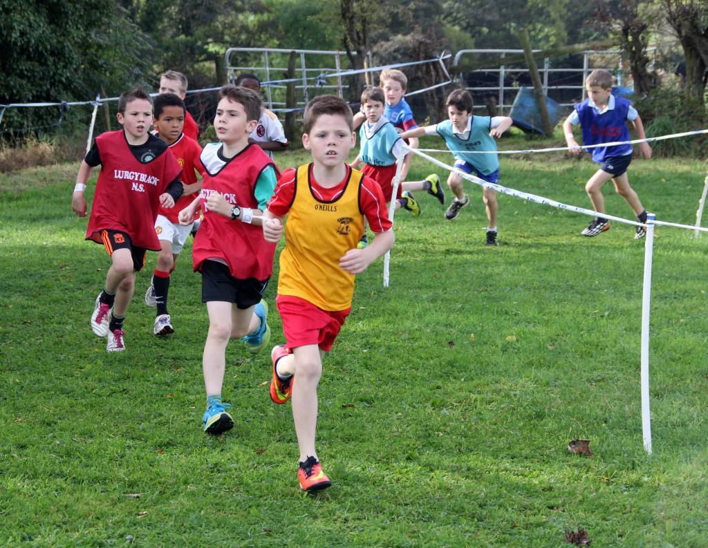 Donegal Schools Cross Country 28