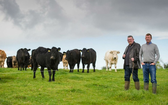 Lee and Paddy Gildea pictured on their family farm. The Letterkenny butchers really can offer farm to fork meat because they meat they sell in the shop comes from their own farm.