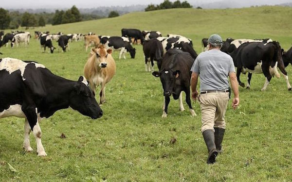 Donegal dairy farmers are to get the bonus before Christmas.