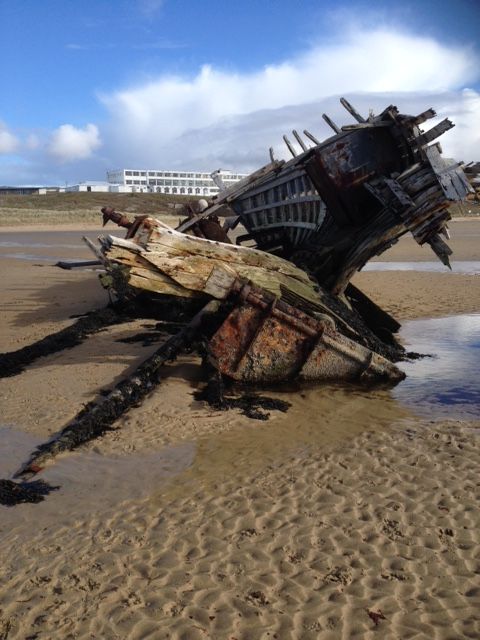 Bad Eddie today. Pic courtesy of Wild Atlantic Gweedore