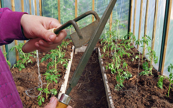Keep your garden tools sharp - less effort is required to use them!