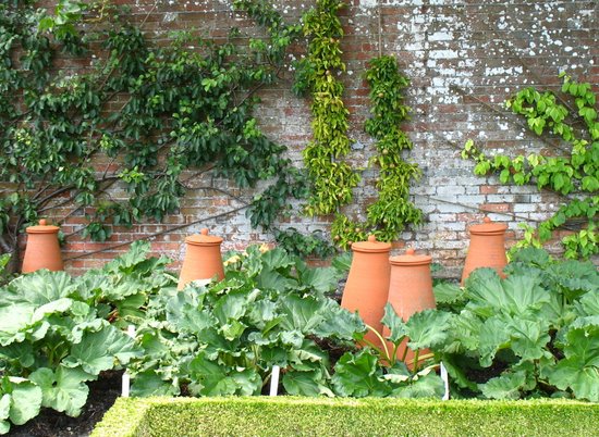 Rhubarb forcing pots in West Dean Gardens