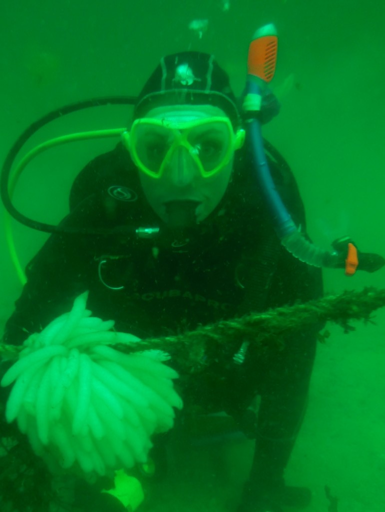 2016-05-22 Caroline Mc Gee with Egg String of Common Atlantic Squid., Melmore Head, Co. Donegal.