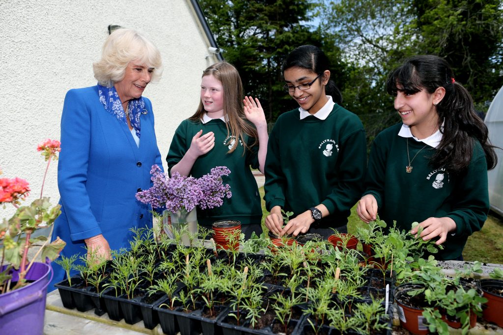 25/05/2016 NO REPRO FEE, MAXWELLS DUBLIN, IRELAND Visit to Ireland by The Prince of Wales and the Duchess of Cornwall. Donegal, Ireland. Pic shows the Duchess of Cornwall meeting pupils of Ballyraine National School. PIC: NO FEE, MAXWELLPHOTOGRAPHY.IE