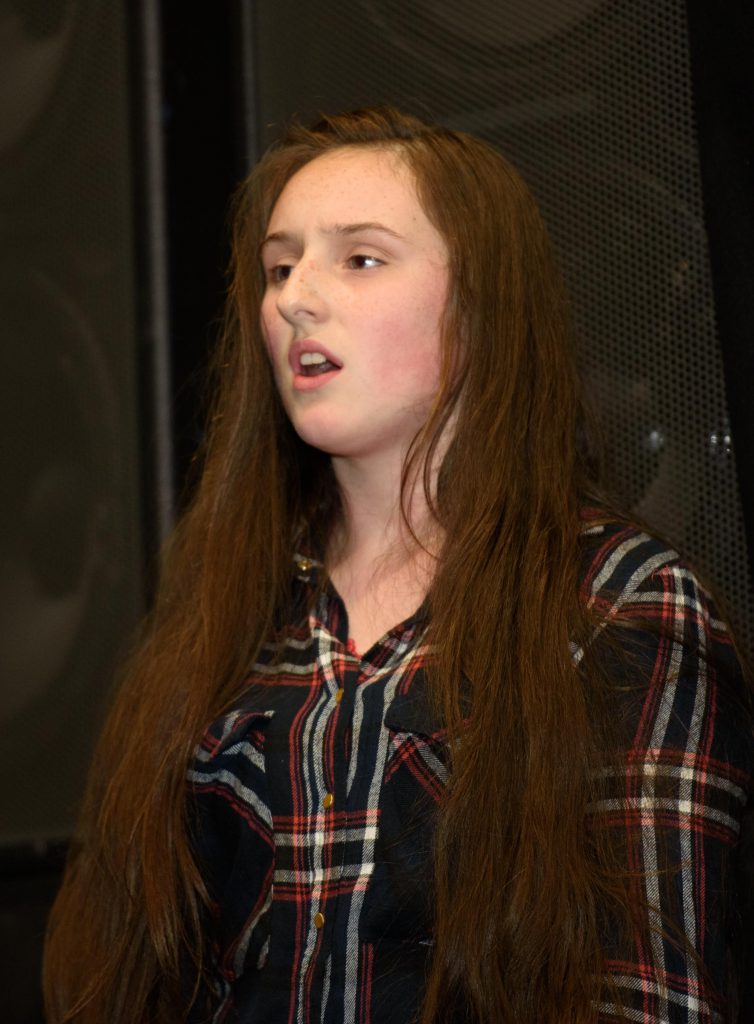 Josephine Ward singing at the Donegal Traveller Project 20th Anniversary event in the Regional Cultural Centre. Photo Clive Wasson