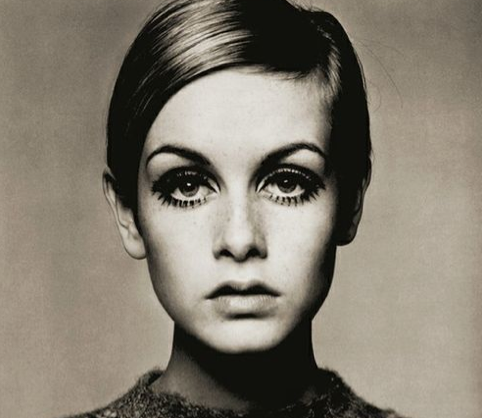 the-twiggy