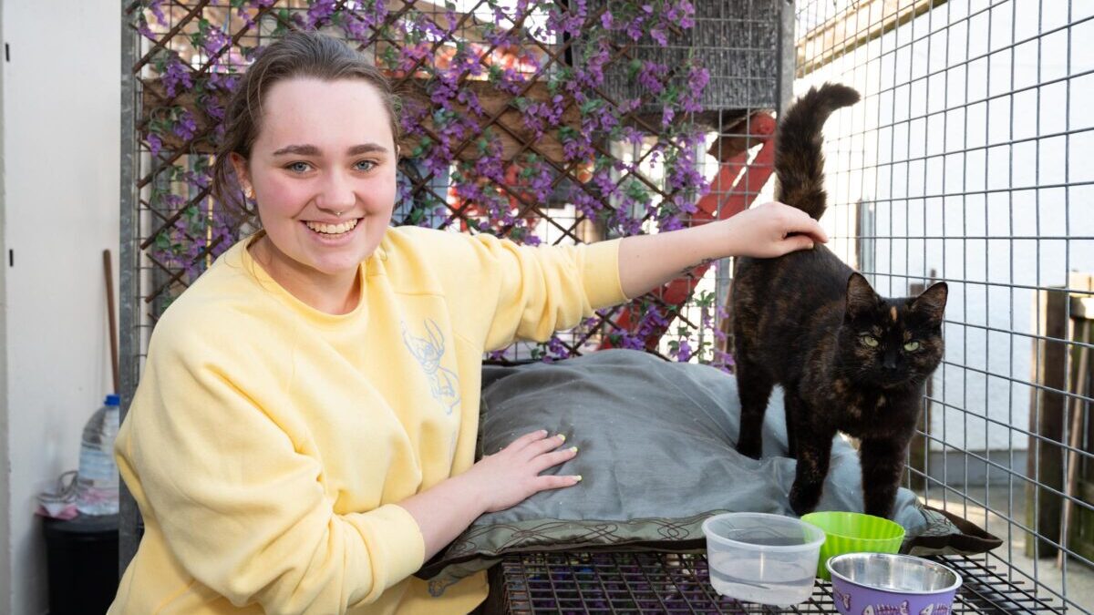 Ambitious Miranda gets her claws into animal care education – Donegal Daily