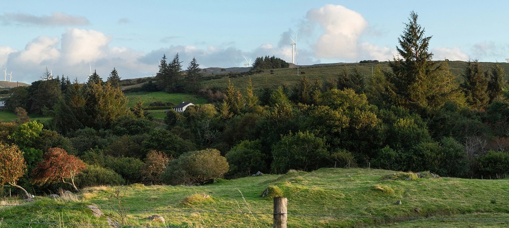 Получено разрешение на строительство ветряной электростанции стоимостью 60 млн евро за пределами Леттеркенни — Donegal Daily