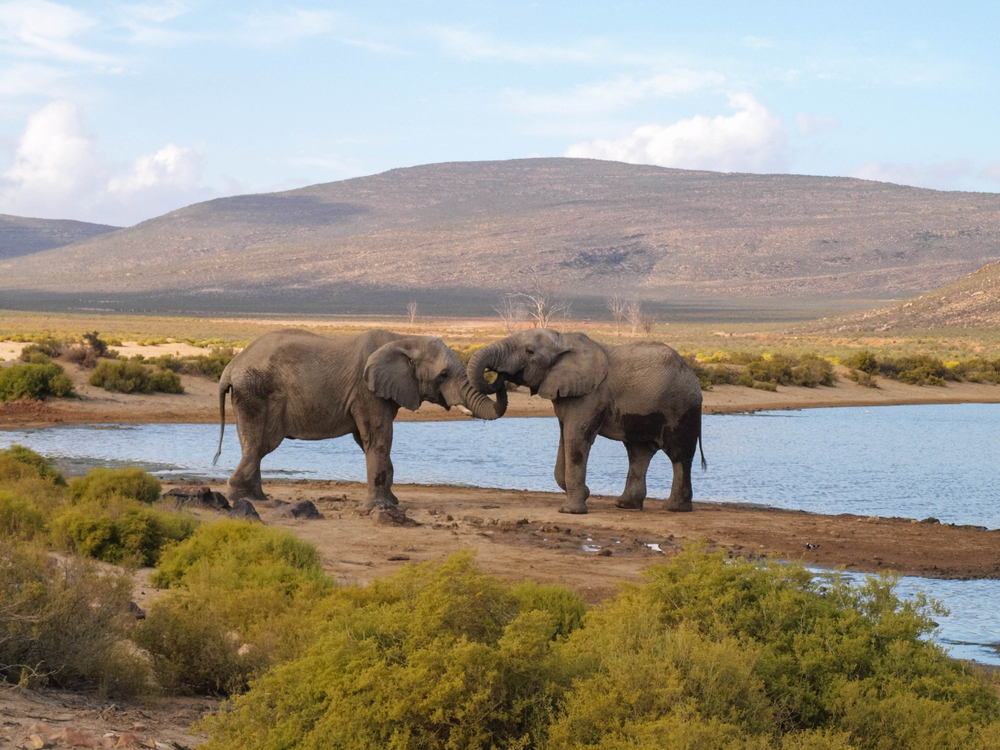 Save up to €200pp on Travel Department's brand new tours for 2025